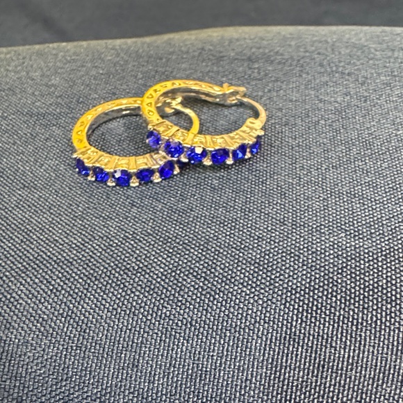 Jewelry - Charming Silver and Blue Hoop Earrings